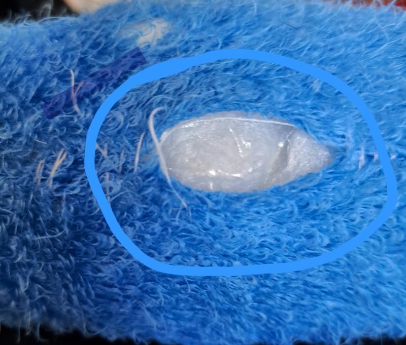 The stitching in the middle of the toy.