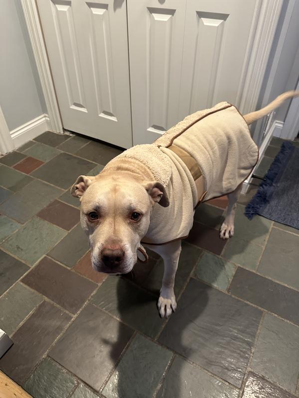 Woody’s new winter coat