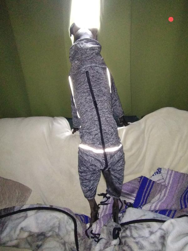 KURGO Stowe Base Layer Dog Sweater, Heather Black, XSmall