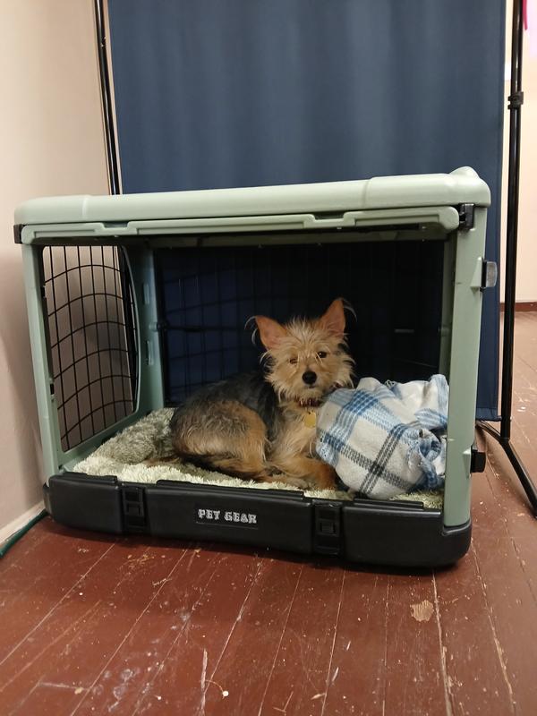 Pet gear crate sale