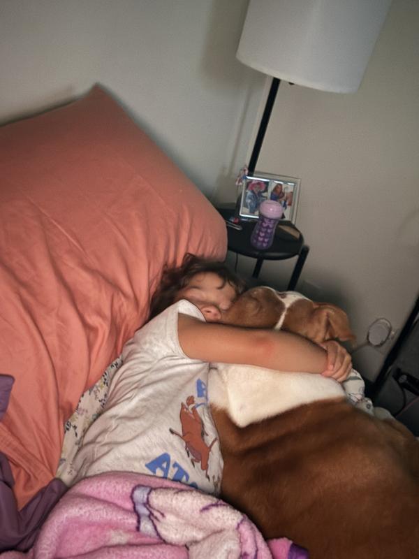Our family dog yet she is our family