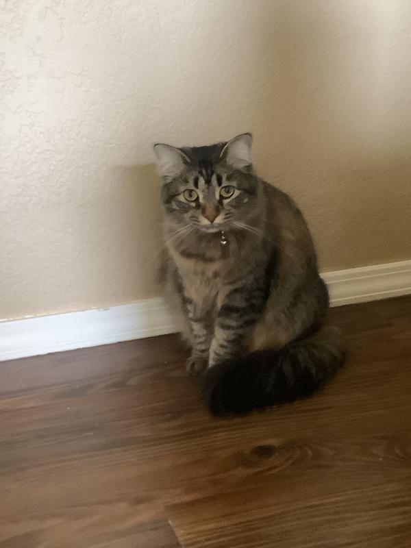 Lip licking goodness!