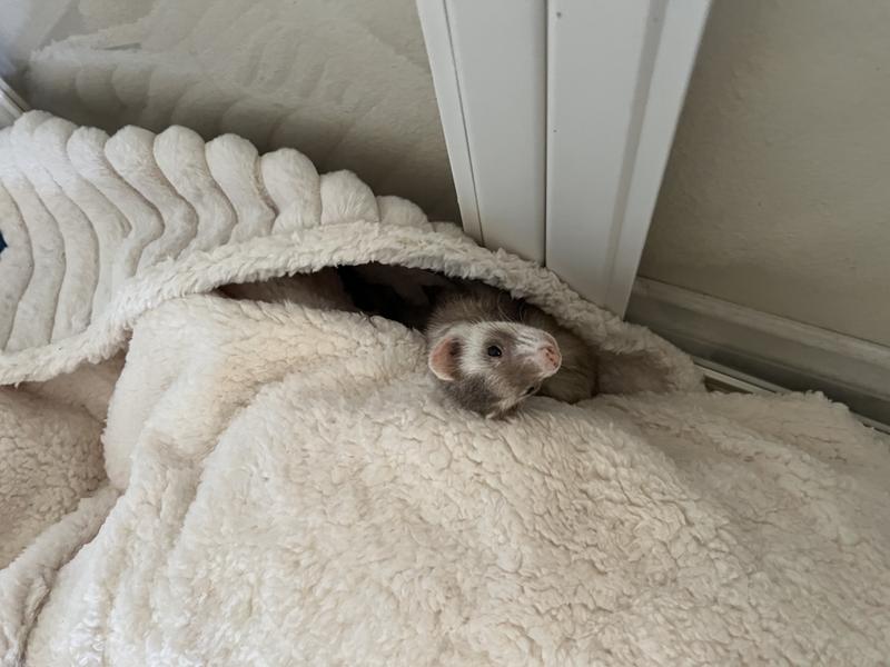 Soft & Snuggly
