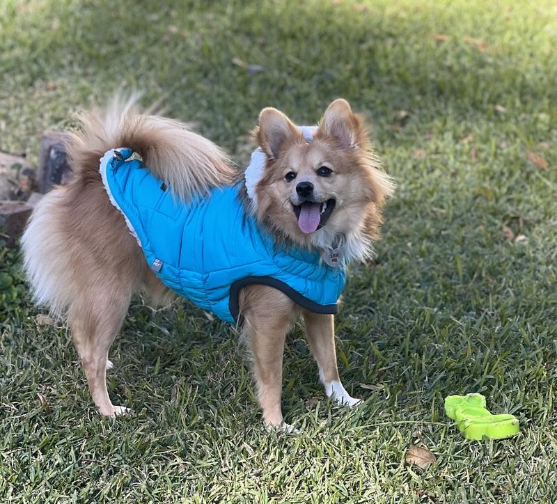 Pretzel modeling his new coat