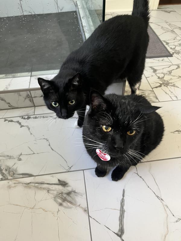 Little brother wants some too…