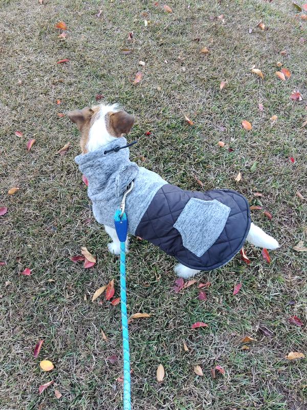 FRISCO Medium Weight Quilted Dog Coat with brushed Fleece Snood