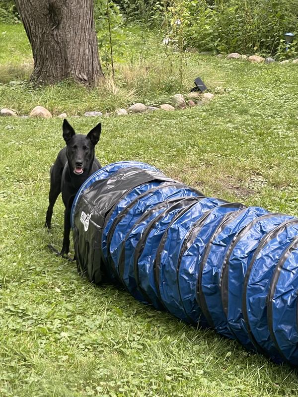 Gage decided she loves the tunnel!