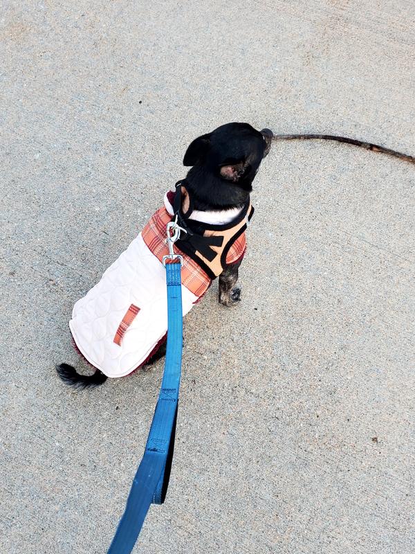 Wonderful coat, harness fits over it as well