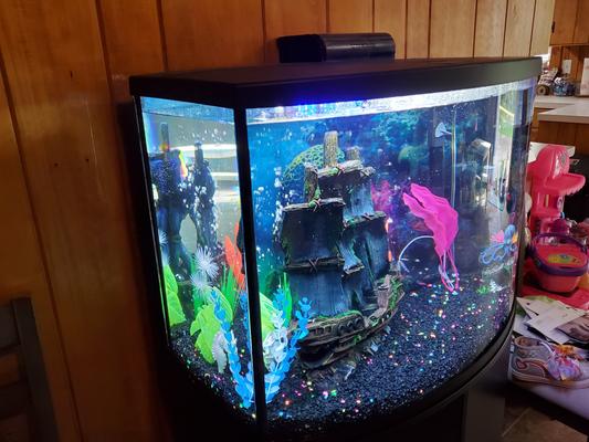 Add a splash of color to your life.