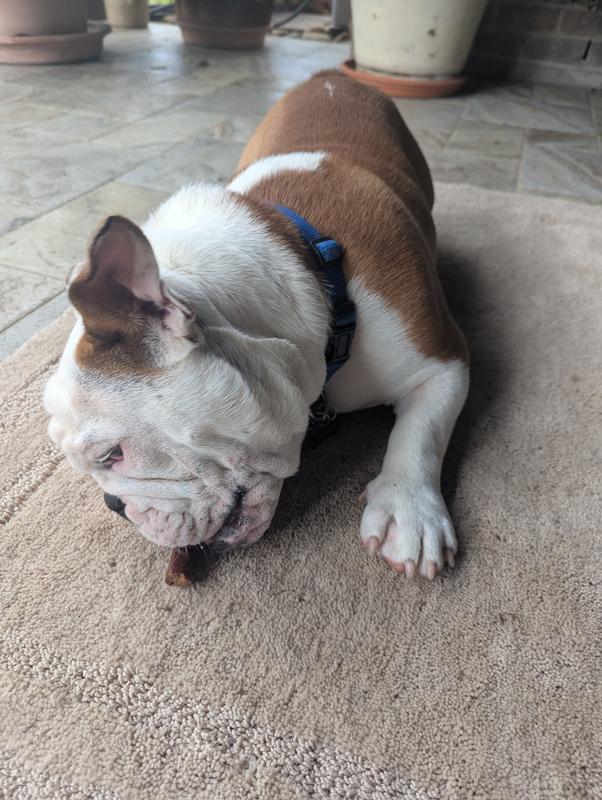 Old and Young love these treats!