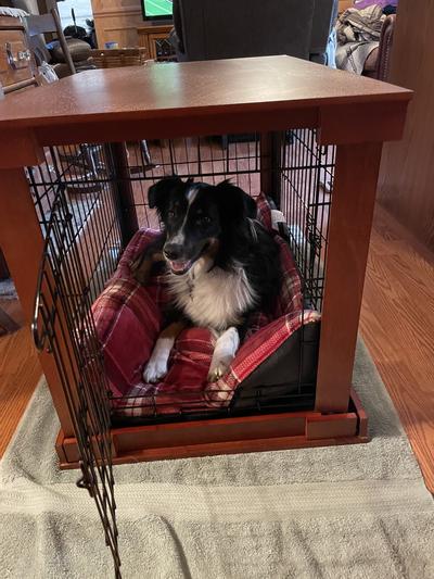 Merry dog cheap crate