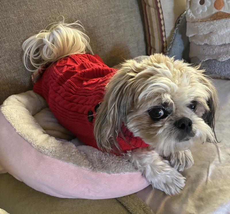 Frisco Plaid Cable Knit Dog & Cat Sweater