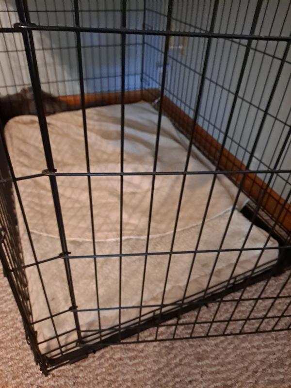 XL crate with size Large Pet Bed