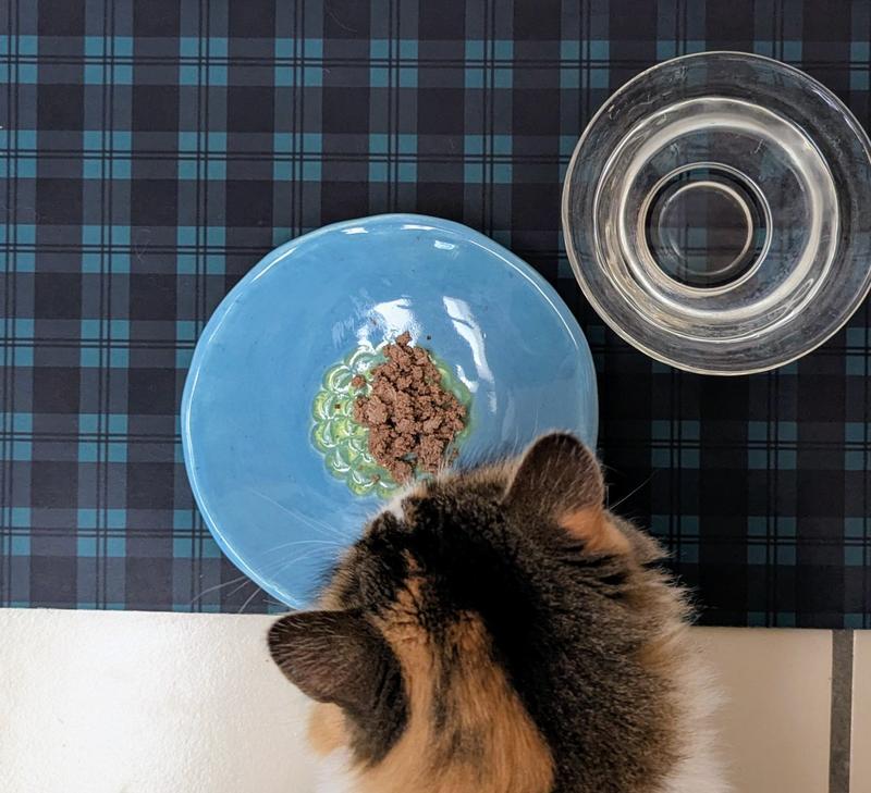 It looks good to me!