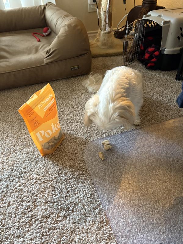 Just before she gobbled them up!