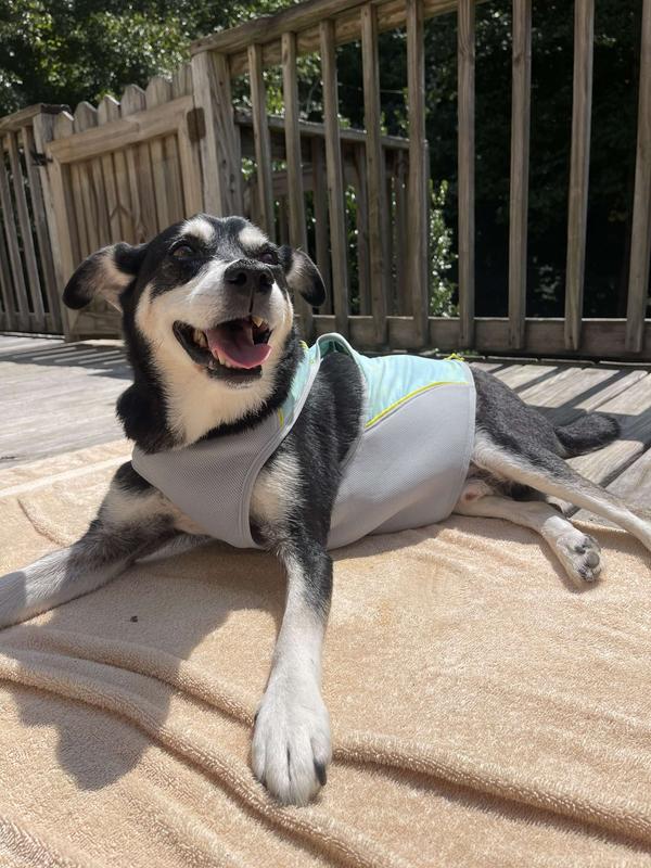 RUFFWEAR Swamp Cooler Zip Dog Vest, Blue Mist, X-Small - Chewy.com