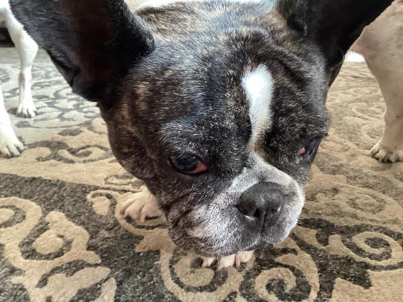 She doesn’t want to look up for the camera.