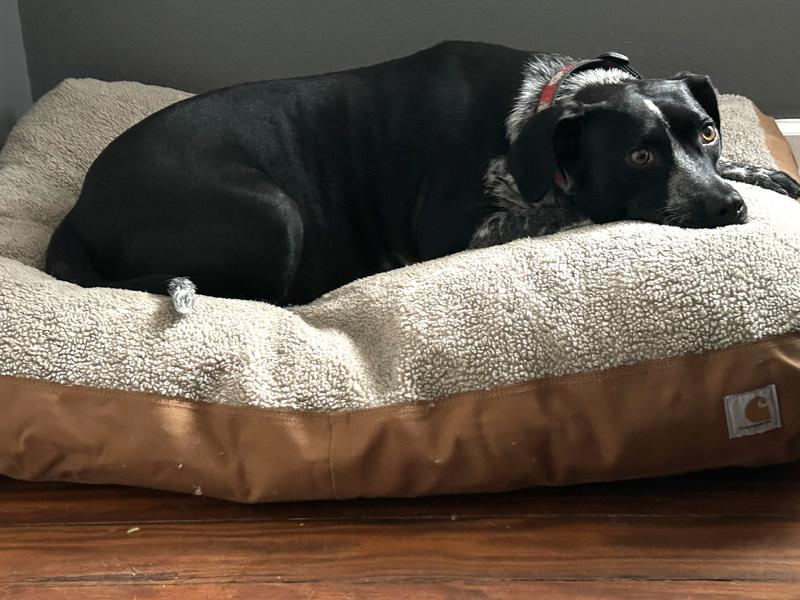 More comfy than the other one!