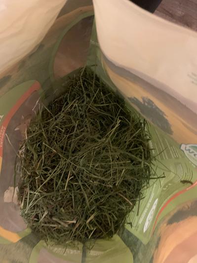Hay that the bottle was in