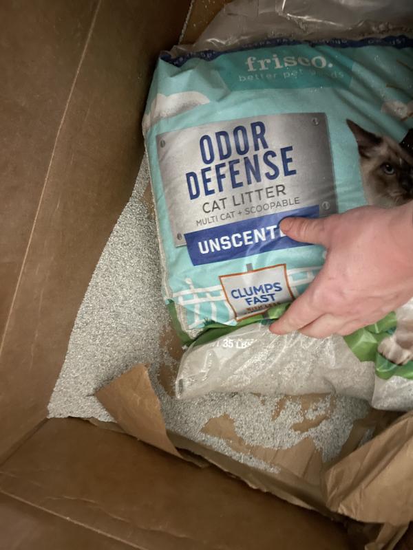 Odor defense outlet cat litter review