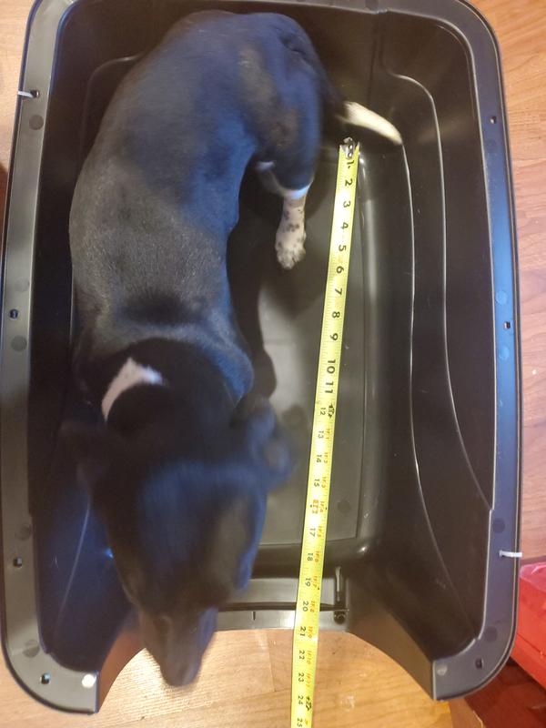 FRISCO Two Door Top Load Plastic Dog & Cat Kennel, Pink, 24in