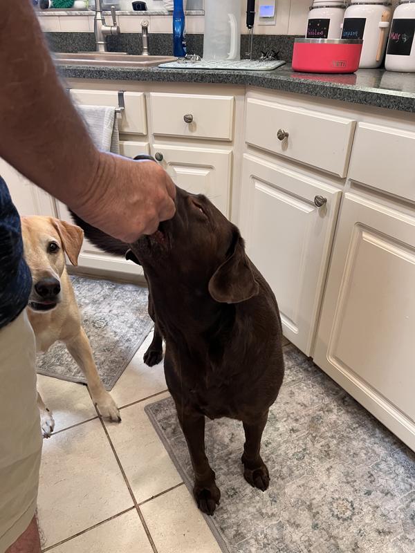 Loving their new treats