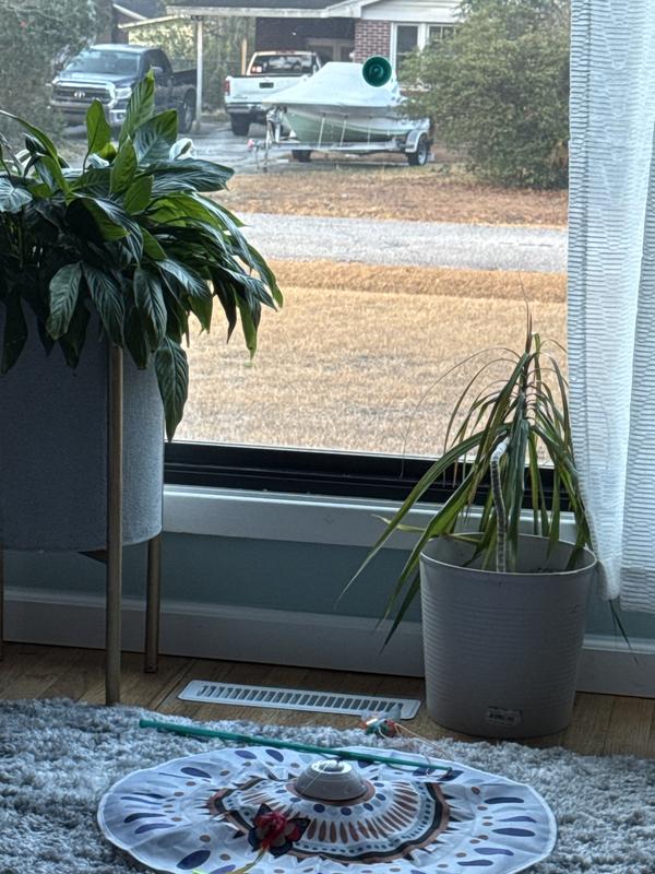 The suction cup still on window and pole on the floor