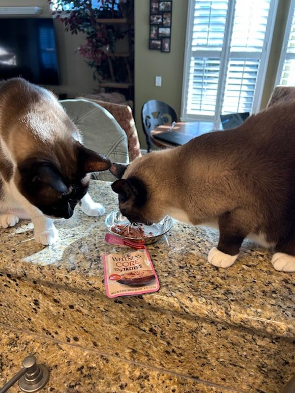 Bothers fighting over the pate