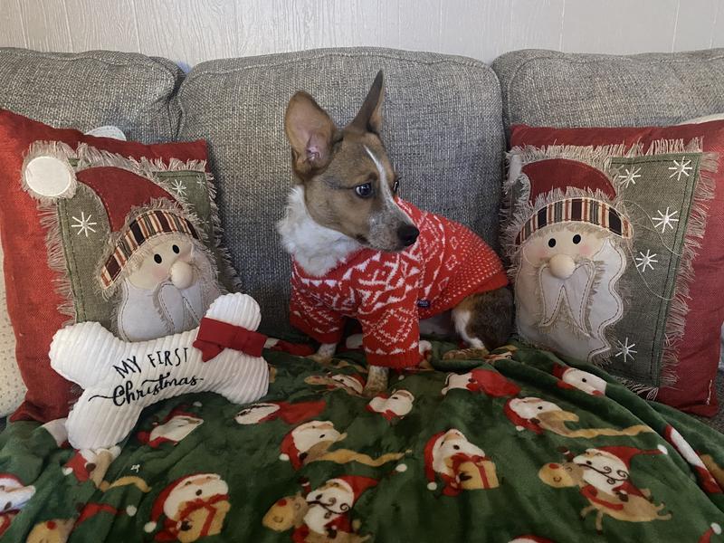 so cozy