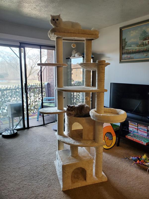 FRISCO 76-in XXL Heavy Duty Cat Tree, Gray - Chewy.com