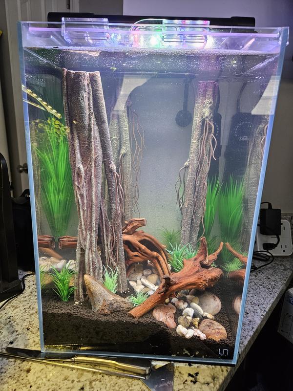 Final setup. Waiting to add fish.