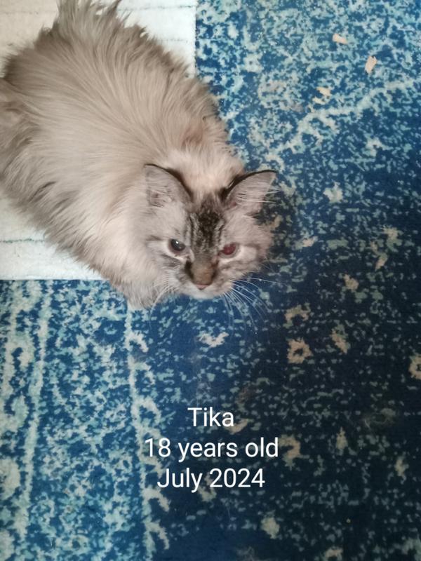 The product user, with our help of course.