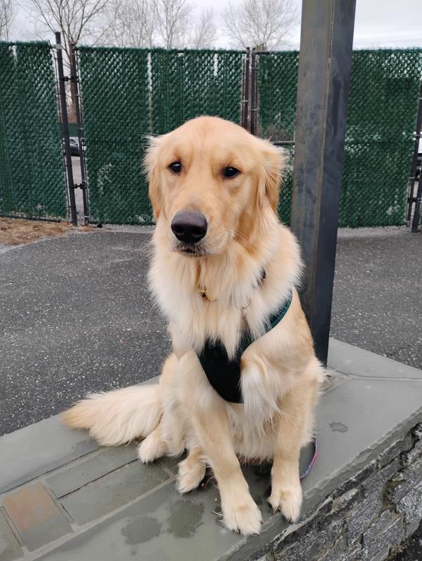 Rorey Loves Chewy's Products