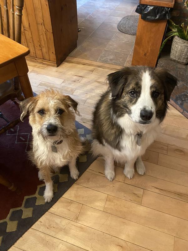 Very content and satisfied