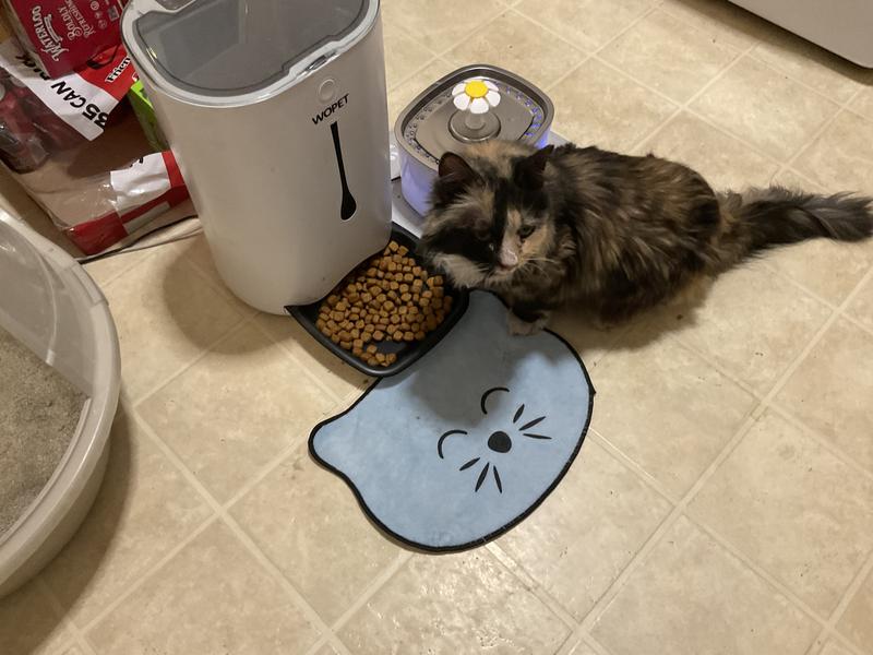 Little Orphan Annie finds a new home.