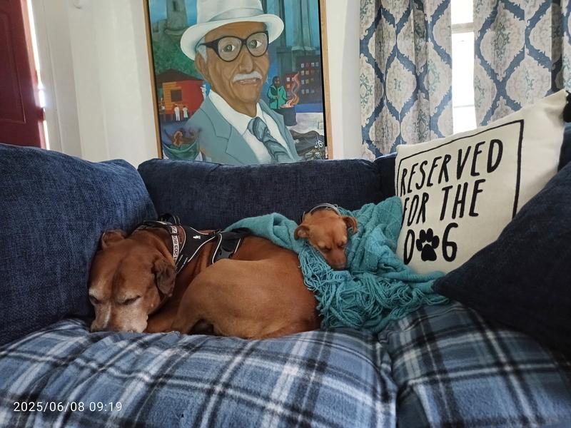 Small and medium. Large is camera shy