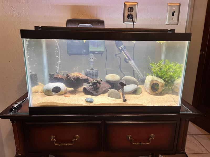 Actually clearer than photo.