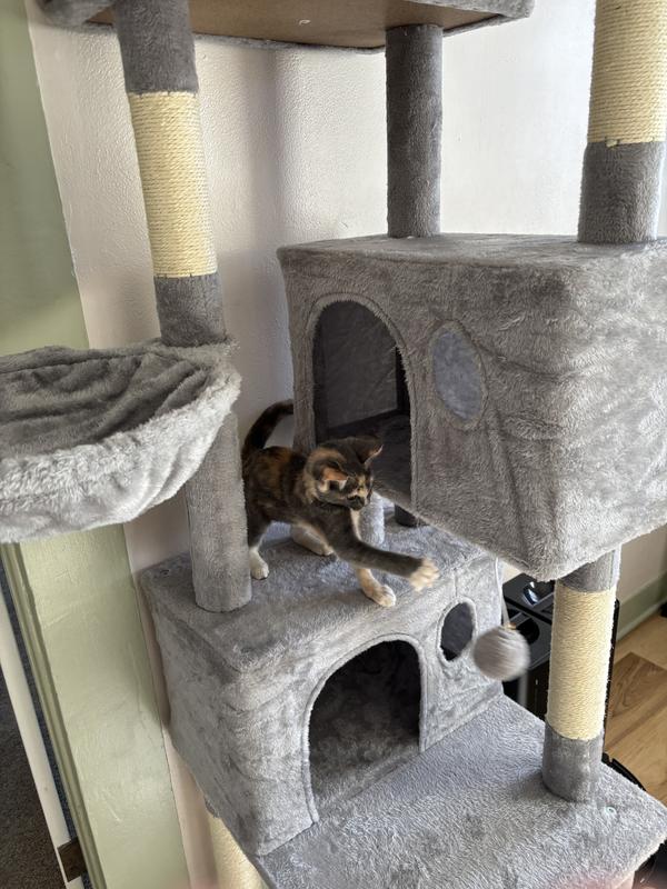 Instantly having fun