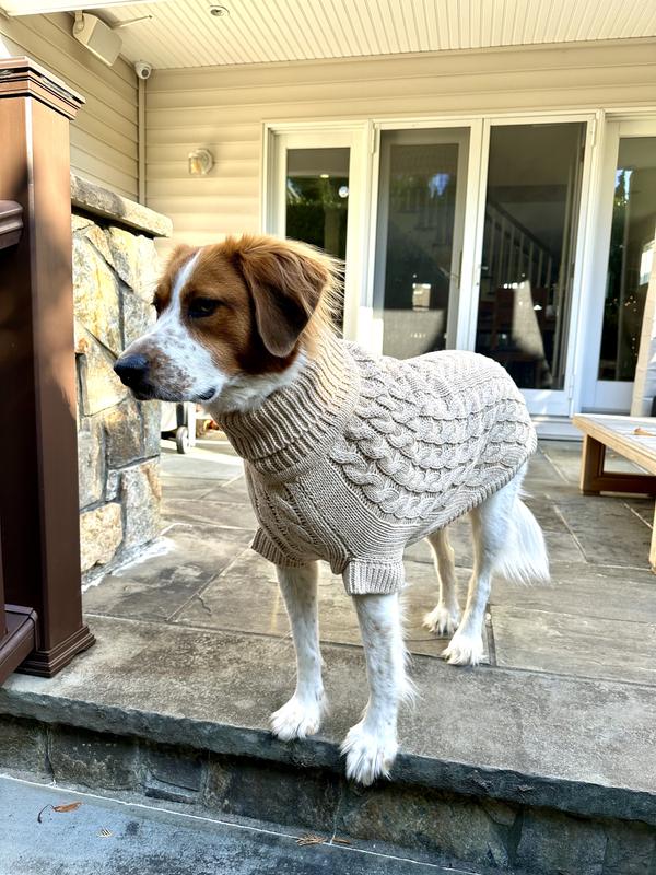 Chalet Dog Sweater | Grey Mix
