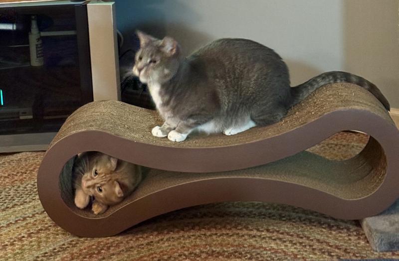 Using the lounger like a tunnel