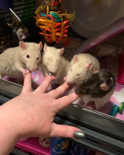 Molly’s on the far right of the ratty manicure.