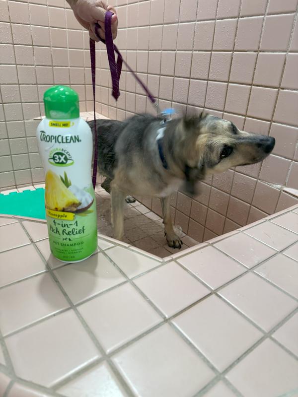 Shakedown after bath