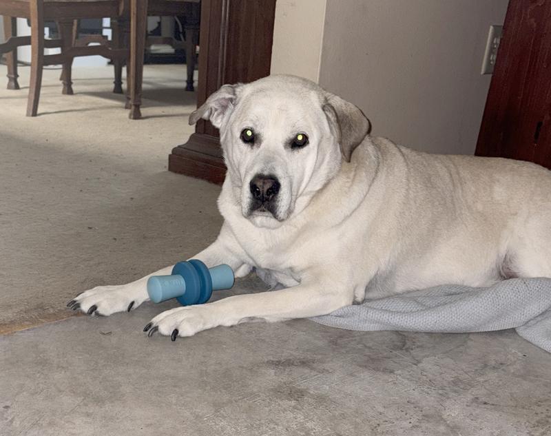 Look at my new toy! I love it!