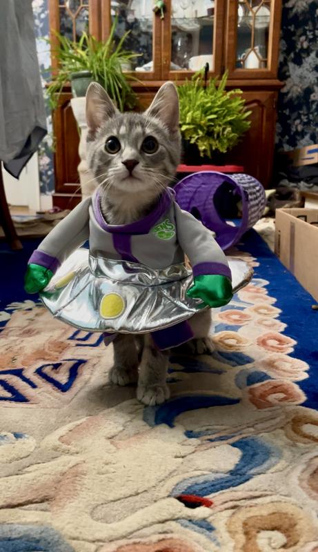 Frisco Front Walking Alien Dog & Cat Costume
