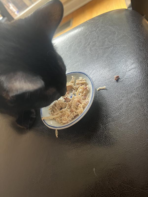 Henry eating the chicken and duck. He’s already drank the broth.