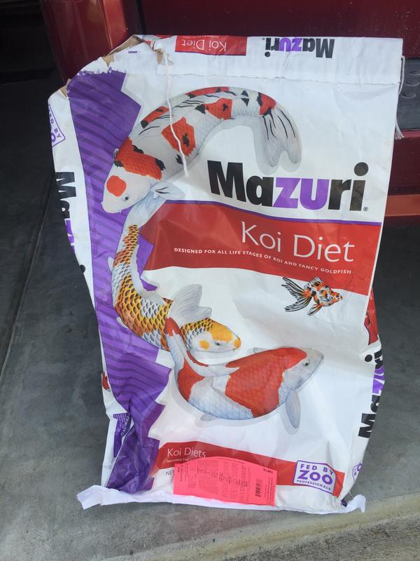 MAZURI Koi Pond Nuggets for Fish 6 12 Inches Food 20 lb bag bundle of 2 Chewy