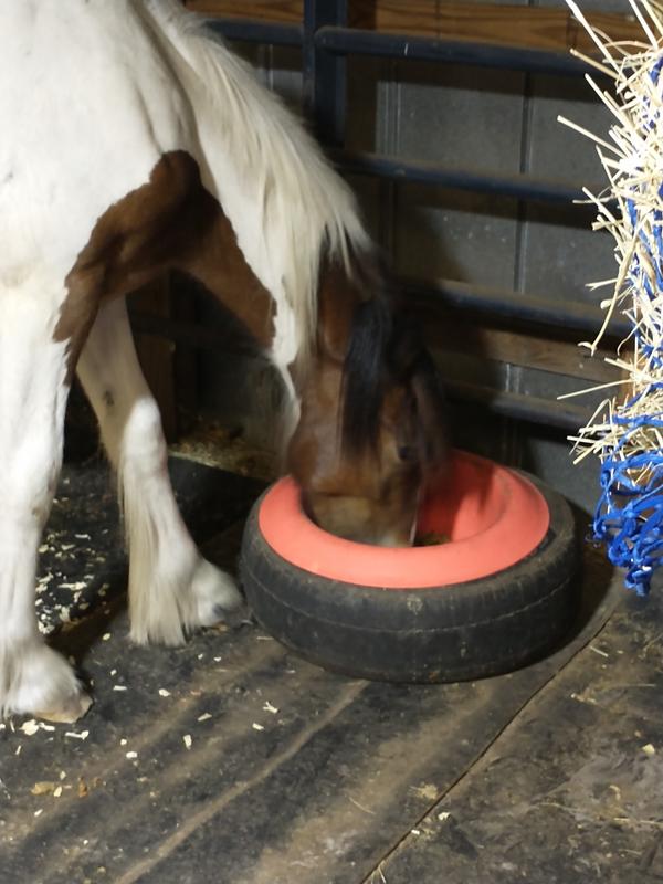 This one has been in use for a few years