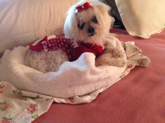 Lola