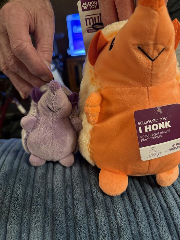 Hedge hog way too big