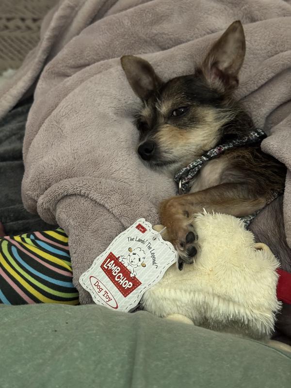Ready for bed after getting her belly full